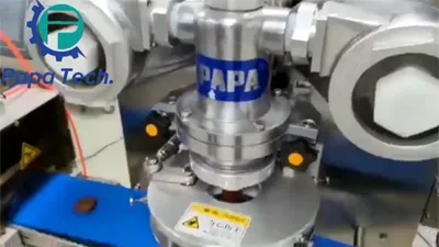 Máquina formadora de bolas de proteína