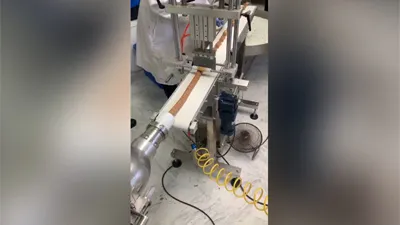 Máquina de extrusión de barras de proteína P307