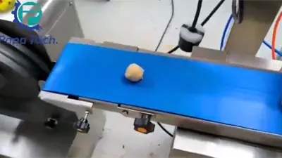 Máquina formadora de bolas dátiles