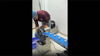 Energy Ball Production Line for a UAE Chocolate Manufacturer