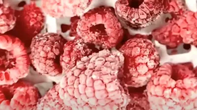 Custom Double-Layer Chocolate Coating Line for an Australian Raspberry Snack Manufacturer1